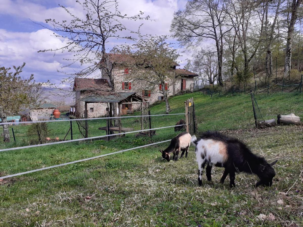 Ca Gennara Agri B&B Порретта-Терме Экстерьер фото
